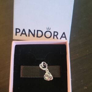 Pandora Silver Bracelet Charm